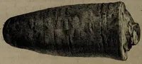 Picture 24 of 25 from Museum Britannicum; or, a display ... in [sic] antiquities and natural curiosities, in ... the British Museum .... / [Jan van Rymsdyk]. (1791), leaf 176