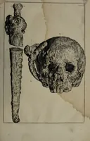 An illustration from Museum Britannicum; or, a display ... in [sic] antiquities and natural curiosities, in ... the British Museum .... / [Jan van Rymsdyk]. (1791)