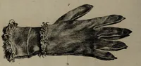 An illustration from Museum Britannicum; or, a display ... in [sic] antiquities and natural curiosities, in ... the British Museum .... / [Jan van Rymsdyk]. (1791)