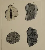 An illustration from A collection of geological facts and practical observations, intended to elucidate the formation of the Ashby Coal-field. In the parish of Ashby-de-la-Zouch and the neighbouring district; being the result of forty years' esperience and research / By Edward Mammatt. Illustrated by a map and profiles, coloured sections of the stratification and one hundred and two plates of vegetable fossils, after drewings taken from nature, by Robert Ironmonger. (1834)
