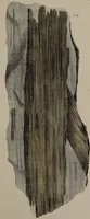 An illustration from A collection of geological facts and practical observations, intended to elucidate the formation of the Ashby Coal-field. In the parish of Ashby-de-la-Zouch and the neighbouring district; being the result of forty years' esperience and research / By Edward Mammatt. Illustrated by a map and profiles, coloured sections of the stratification and one hundred and two plates of vegetable fossils, after drewings taken from nature, by Robert Ironmonger. (1834)
