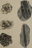 An illustration from A collection of geological facts and practical observations, intended to elucidate the formation of the Ashby Coal-field. In the parish of Ashby-de-la-Zouch and the neighbouring district; being the result of forty years' esperience and research / By Edward Mammatt. Illustrated by a map and profiles, coloured sections of the stratification and one hundred and two plates of vegetable fossils, after drewings taken from nature, by Robert Ironmonger. (1834)