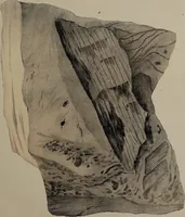 An illustration from A collection of geological facts and practical observations, intended to elucidate the formation of the Ashby Coal-field. In the parish of Ashby-de-la-Zouch and the neighbouring district; being the result of forty years' esperience and research / By Edward Mammatt. Illustrated by a map and profiles, coloured sections of the stratification and one hundred and two plates of vegetable fossils, after drewings taken from nature, by Robert Ironmonger. (1834)