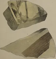 An illustration from A collection of geological facts and practical observations, intended to elucidate the formation of the Ashby Coal-field. In the parish of Ashby-de-la-Zouch and the neighbouring district; being the result of forty years' esperience and research / By Edward Mammatt. Illustrated by a map and profiles, coloured sections of the stratification and one hundred and two plates of vegetable fossils, after drewings taken from nature, by Robert Ironmonger. (1834)