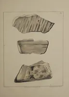 An illustration from A collection of geological facts and practical observations, intended to elucidate the formation of the Ashby Coal-field. In the parish of Ashby-de-la-Zouch and the neighbouring district; being the result of forty years' esperience and research / By Edward Mammatt. Illustrated by a map and profiles, coloured sections of the stratification and one hundred and two plates of vegetable fossils, after drewings taken from nature, by Robert Ironmonger. (1834)