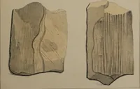 An illustration from A collection of geological facts and practical observations, intended to elucidate the formation of the Ashby Coal-field. In the parish of Ashby-de-la-Zouch and the neighbouring district; being the result of forty years' esperience and research / By Edward Mammatt. Illustrated by a map and profiles, coloured sections of the stratification and one hundred and two plates of vegetable fossils, after drewings taken from nature, by Robert Ironmonger. (1834)