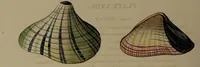 Picture 51 of 54 from Conchology, or the natural history of shells: containing a new arrangement of the genera and species. Illustrated by coloured engravings executed from the natural specimens, and including the latest discoveries / By George Perry. (1811), leaf 242