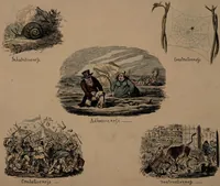 Picture 3 of 8 from Phrenological illustrations, or an artist's view of the craniological system of Doctors Gall and Spurzheim / By George Cruikshank. (1827), leaf 13