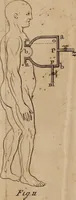 An illustration from Medicine made to agree with the institutions of nature, or A new mechanical practice of physick ... / by Dav. Stephenson, M.A. (1744)