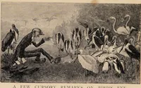An illustration from John Ruskin : on himself and things in general. (1893)