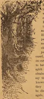 An illustration from Happy days / presented by the makers of Carter's Little Liver Pills. (1882)