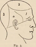 An illustration from How to learn phrenology : with hints as to the study of character / by L.N. Fowler. (1886)
