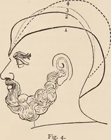 An illustration from How to learn phrenology : with hints as to the study of character / by L.N. Fowler. (1886)