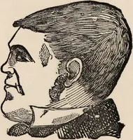 An illustration from How to learn phrenology : with hints as to the study of character / by L.N. Fowler. (1886)