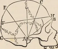 An illustration from How to learn phrenology : with hints as to the study of character / by L.N. Fowler. (1886)