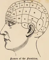 An illustration from How to learn phrenology : with hints as to the study of character / by L.N. Fowler. (1886)