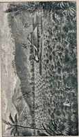 An illustration from United Kingdom Tea Company, Limd. : offices- 21, Mincing Lane, London, E.C. (1891)