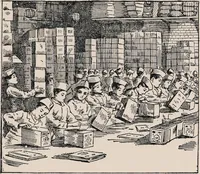 Picture 14 of 15 from United Kingdom Tea Company, Limd. : offices- 21, Mincing Lane, London, E.C. (1891), leaf 31