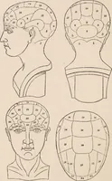 An illustration from Phrenology : how to read the head. (1890)