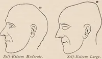 An illustration from Phrenology : how to read the head. (1890)