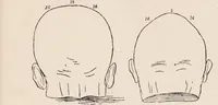 An illustration from Phrenology : how to read the head. (1890)
