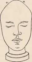 An illustration from Phrenology : how to read the head. (1890)