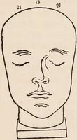 An illustration from Phrenology : how to read the head. (1890)