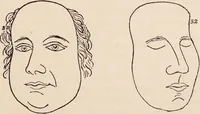 An illustration from Phrenology : how to read the head. (1890)