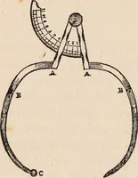 An illustration from Phrenology : how to read the head. (1890)