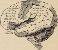 Picture 11 of 24 from Life of Dr. Franc̦ois Joseph Gall : craniologist and founder of phrenology / by Miss Jessie A. Fowler, F.A.I., co-editor of "The phrenological magazine"; "The phrenological dictionary"; and "Phrenology proved". (1896), leaf 36
