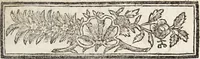 An illustration from Histoire naturelle de la parole, ou, Précis de l'origine du langage & de la grammaire universelle : extrait du Monde primitif / par M. Court de Gébelin. (1776)