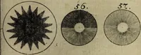An illustration from Herrn Georgii von Welling Opus mago-cabbalisticum et theosophicum. Darinnen der Ursprung, Natur, Eigenschafften und Gebrauch des Saltzes, Schwefels und Mercurii, in dreyen Theilen beschrieben, und nebst sehr vielen sonderbahren mathematischen, theosophischen, magischen und mystischen Materien, auch die Erzeugung der Metallen und Mineralien, aus dem Grunde der Natur erwiesen wird; samt dem Haupt-Schlüssel des gantzen Wercks, und vielen curieusen mago-cabbalistischen Figuren : Deme noch beygefüget: ein Tractätlein von der Göttlichen Weissheit; und ein besonderer Anhang etlicher sehr rar- und kostbahrer chymischer Piecen / Nunmehro das erstemahl also zusammen zum Druck befördert von einem Liebhaber Göttlicher und natürlicher Geheimnüsse [C.S]. (1735)
