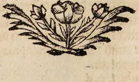 An illustration from Bibliotheca chemico-curiosa, D. Mangeti enucleata ac illustrata. Das ist: Kern und Stern, der vornehmsten chymisch-philosophischen Schrifften, die in D. Mangeti Bibliotheca chemico-curiosa befindlich seynd ... / abegetheilet und heraus gegeben durch Conrad. Horlachern. (1707)