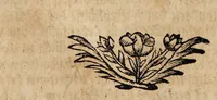An illustration from Bibliotheca chemico-curiosa, D. Mangeti enucleata ac illustrata. Das ist: Kern und Stern, der vornehmsten chymisch-philosophischen Schrifften, die in D. Mangeti Bibliotheca chemico-curiosa befindlich seynd ... / abegetheilet und heraus gegeben durch Conrad. Horlachern. (1707)