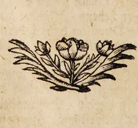 An illustration from Bibliotheca chemico-curiosa, D. Mangeti enucleata ac illustrata. Das ist: Kern und Stern, der vornehmsten chymisch-philosophischen Schrifften, die in D. Mangeti Bibliotheca chemico-curiosa befindlich seynd ... / abegetheilet und heraus gegeben durch Conrad. Horlachern. (1707)