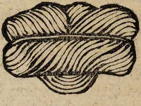 An illustration from R. Abrahami Eleazaris Uraltes chymisches Werk, welches ehedessen von dem Autore Theils in lateinischer und arabischer, Theils auch in chaldäischer und syrischer Sprache geschrieben, nachmahls von einem Anonymo in unsere deutsche Muttersprache übersetzet. Nun aber nebst zugehörigen Kupfern, Figuren ... ingleichen einigen philosophischen Regeln von dem Steine der Weisen zu Nutz und Gebrauch aller Liebhaber der edlen Hermetischen Philosophie, in II. Theilen zum öffentlichen Druck befördert worden durch Iulium Gervasium Schwartzburgicum, P. M. & I. P. E / [Abraham Eleazar]. (1760)