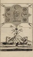 Picture 60 of 61 from R. Abrahami Eleazaris Uraltes chymisches Werk, welches ehedessen von dem Autore Theils in lateinischer und arabischer, Theils auch in chaldäischer und syrischer Sprache geschrieben, nachmahls von einem Anonymo in unsere deutsche Muttersprache übersetzet. Nun aber nebst zugehörigen Kupfern, Figuren ... ingleichen einigen philosophischen Regeln von dem Steine der Weisen zu Nutz und Gebrauch aller Liebhaber der edlen Hermetischen Philosophie, in II. Theilen zum öffentlichen Druck befördert worden durch Iulium Gervasium Schwartzburgicum, P. M. & I. P. E / [Abraham Eleazar]. (1760), leaf 321
