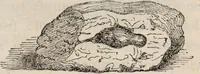 An illustration from Gutta percha, its discovery, history, and manifold uses. (1851)