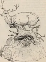 An illustration from Gutta percha, its discovery, history, and manifold uses. (1851)