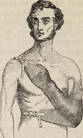 An illustration from Gutta percha, its discovery, history, and manifold uses. (1851)