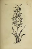 Picture 2 of 71 from The florist : containing sixty plates of the most beautiful flowers regularly dispos'd in their succession of blowing. To which is added an accurate description of their colours, with instructions for drawing & painting them according to nature : being a new work intended for the use & amusement of gentlemen and ladies delighting in that art. (1760), leaf 3