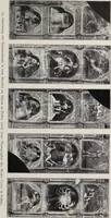 Picture 28 of 50 from Sternglaube und Sterndeutung : die Geschichte und das Wesen der Astrologie / unter Mitwirkung von Carl Bezold dargestellt von Franz Boll. (1926), leaf 241