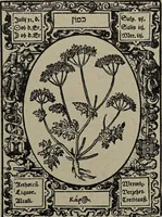 Picture 33 of 56 from Historia unnd Beschreibung Influentischer, Elementischer und Natürlicher Wirckungen, aller fremden unnd heimischen Erdgewechssen : auch irer Subtiliteten, sampt Warhasstiger und künstlicher Conterfeitung derselbigen, auch aller teiler, Innerlicher und eüfferlicher glider am menschlichen Cörper, nebend fürbildung aller zu der Extraction dienstlichen Instrumenten, auch deren gebrauch, und alle zu erhaltung der gesundheit notwendigen Processen gemeiné nutz zu gut / durch Leonhardt Thurneysser zum Tuhrn. (1922), leaf 101