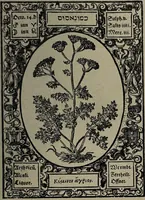 Picture 34 of 56 from Historia unnd Beschreibung Influentischer, Elementischer und Natürlicher Wirckungen, aller fremden unnd heimischen Erdgewechssen : auch irer Subtiliteten, sampt Warhasstiger und künstlicher Conterfeitung derselbigen, auch aller teiler, Innerlicher und eüfferlicher glider am menschlichen Cörper, nebend fürbildung aller zu der Extraction dienstlichen Instrumenten, auch deren gebrauch, und alle zu erhaltung der gesundheit notwendigen Processen gemeiné nutz zu gut / durch Leonhardt Thurneysser zum Tuhrn. (1922), leaf 105