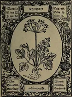 Picture 37 of 56 from Historia unnd Beschreibung Influentischer, Elementischer und Natürlicher Wirckungen, aller fremden unnd heimischen Erdgewechssen : auch irer Subtiliteten, sampt Warhasstiger und künstlicher Conterfeitung derselbigen, auch aller teiler, Innerlicher und eüfferlicher glider am menschlichen Cörper, nebend fürbildung aller zu der Extraction dienstlichen Instrumenten, auch deren gebrauch, und alle zu erhaltung der gesundheit notwendigen Processen gemeiné nutz zu gut / durch Leonhardt Thurneysser zum Tuhrn. (1922), leaf 113