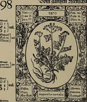 Picture 39 of 56 from Historia unnd Beschreibung Influentischer, Elementischer und Natürlicher Wirckungen, aller fremden unnd heimischen Erdgewechssen : auch irer Subtiliteten, sampt Warhasstiger und künstlicher Conterfeitung derselbigen, auch aller teiler, Innerlicher und eüfferlicher glider am menschlichen Cörper, nebend fürbildung aller zu der Extraction dienstlichen Instrumenten, auch deren gebrauch, und alle zu erhaltung der gesundheit notwendigen Processen gemeiné nutz zu gut / durch Leonhardt Thurneysser zum Tuhrn. (1922), leaf 118