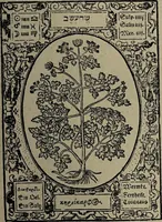 An illustration from Historia unnd Beschreibung Influentischer, Elementischer und Natürlicher Wirckungen, aller fremden unnd heimischen Erdgewechssen : auch irer Subtiliteten, sampt Warhasstiger und künstlicher Conterfeitung derselbigen, auch aller teiler, Innerlicher und eüfferlicher glider am menschlichen Cörper, nebend fürbildung aller zu der Extraction dienstlichen Instrumenten, auch deren gebrauch, und alle zu erhaltung der gesundheit notwendigen Processen gemeiné nutz zu gut / durch Leonhardt Thurneysser zum Tuhrn. (1922)