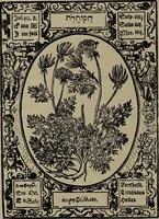 Picture 42 of 56 from Historia unnd Beschreibung Influentischer, Elementischer und Natürlicher Wirckungen, aller fremden unnd heimischen Erdgewechssen : auch irer Subtiliteten, sampt Warhasstiger und künstlicher Conterfeitung derselbigen, auch aller teiler, Innerlicher und eüfferlicher glider am menschlichen Cörper, nebend fürbildung aller zu der Extraction dienstlichen Instrumenten, auch deren gebrauch, und alle zu erhaltung der gesundheit notwendigen Processen gemeiné nutz zu gut / durch Leonhardt Thurneysser zum Tuhrn. (1922), leaf 132