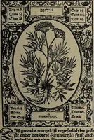 Picture 47 of 56 from Historia unnd Beschreibung Influentischer, Elementischer und Natürlicher Wirckungen, aller fremden unnd heimischen Erdgewechssen : auch irer Subtiliteten, sampt Warhasstiger und künstlicher Conterfeitung derselbigen, auch aller teiler, Innerlicher und eüfferlicher glider am menschlichen Cörper, nebend fürbildung aller zu der Extraction dienstlichen Instrumenten, auch deren gebrauch, und alle zu erhaltung der gesundheit notwendigen Processen gemeiné nutz zu gut / durch Leonhardt Thurneysser zum Tuhrn. (1922), leaf 147