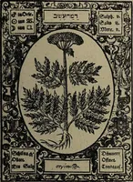 Picture 51 of 56 from Historia unnd Beschreibung Influentischer, Elementischer und Natürlicher Wirckungen, aller fremden unnd heimischen Erdgewechssen : auch irer Subtiliteten, sampt Warhasstiger und künstlicher Conterfeitung derselbigen, auch aller teiler, Innerlicher und eüfferlicher glider am menschlichen Cörper, nebend fürbildung aller zu der Extraction dienstlichen Instrumenten, auch deren gebrauch, und alle zu erhaltung der gesundheit notwendigen Processen gemeiné nutz zu gut / durch Leonhardt Thurneysser zum Tuhrn. (1922), leaf 161